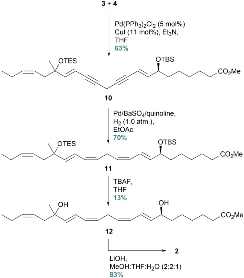 Scheme 4