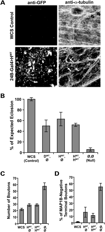 Figure 2.