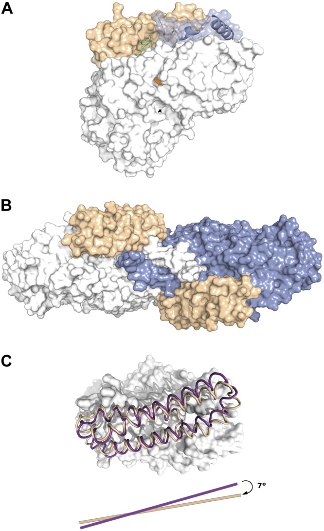 Figure 3.