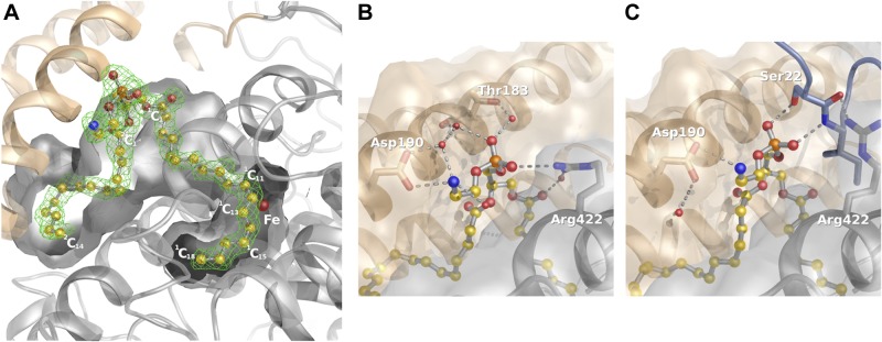 Figure 4.