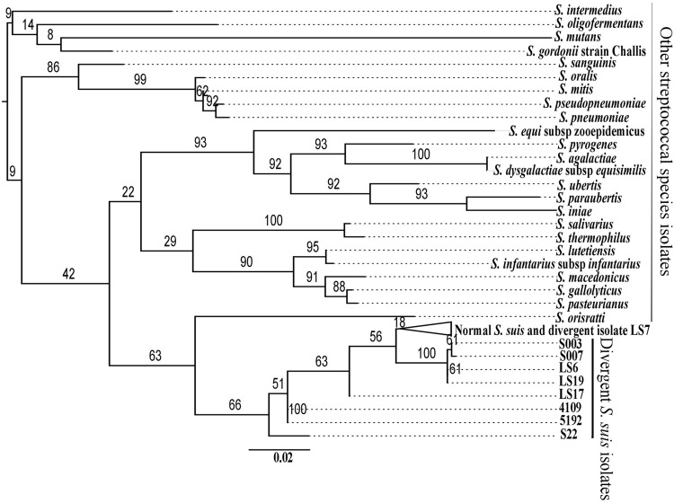 FIGURE 2