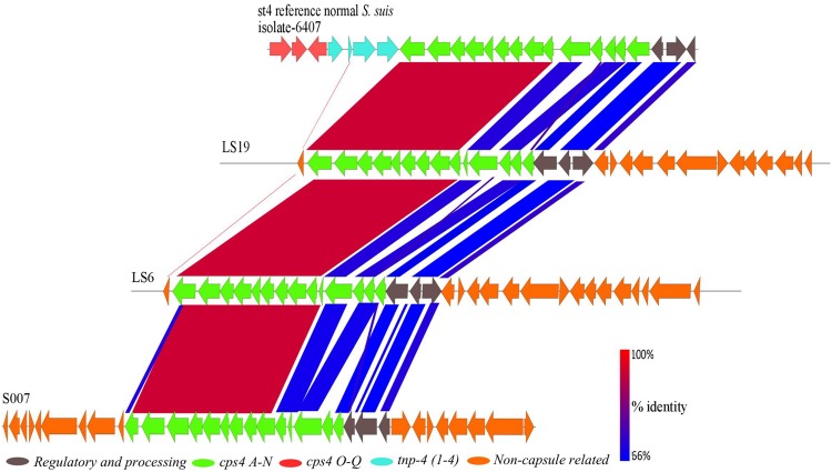 FIGURE 5