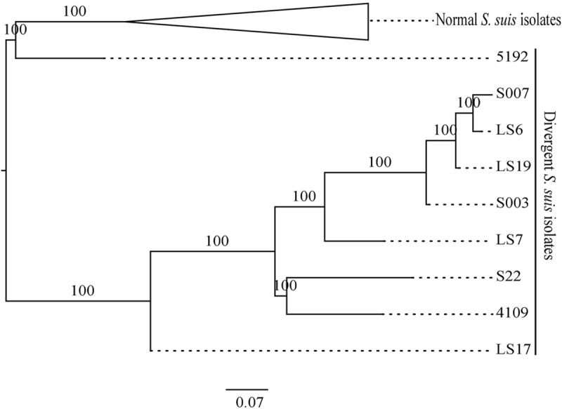 FIGURE 4