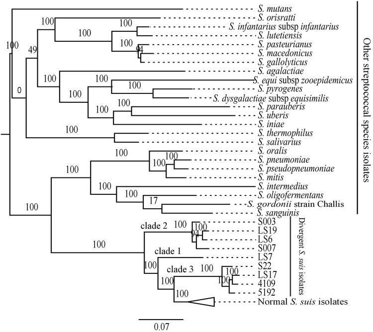 FIGURE 3