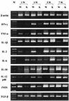 FIG. 5