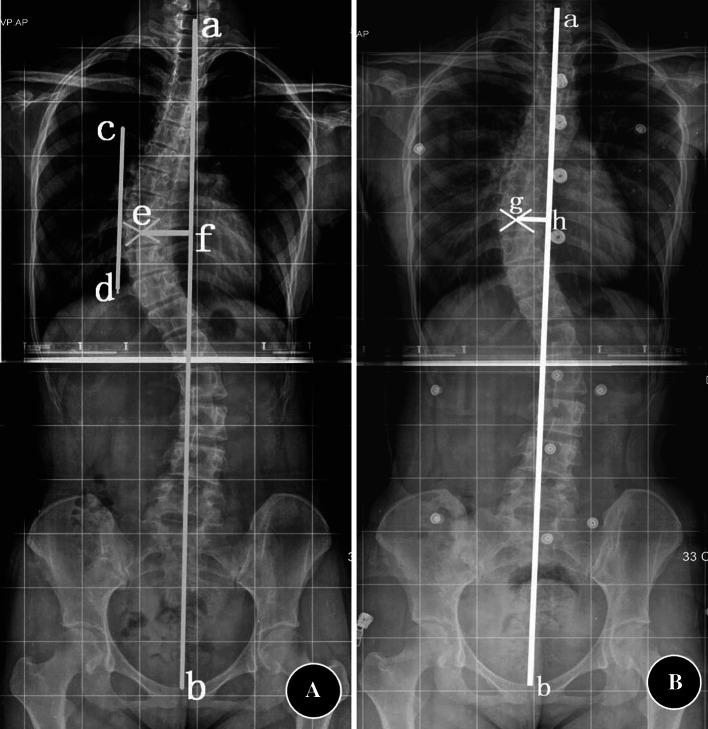 Fig. 3