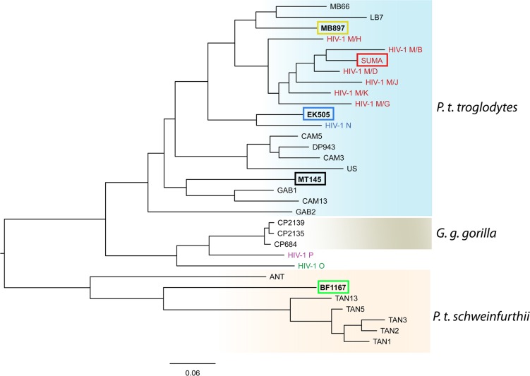 FIG 1