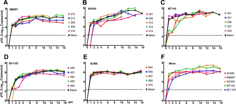 FIG 2