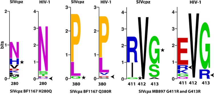 FIG 6