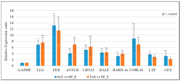 Figure 5