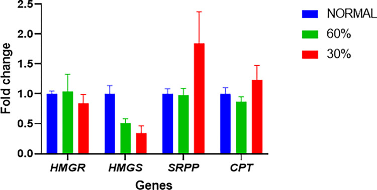 Fig 6