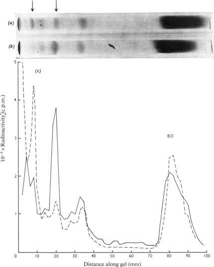 PLATE 3