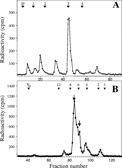 FIG. 5.