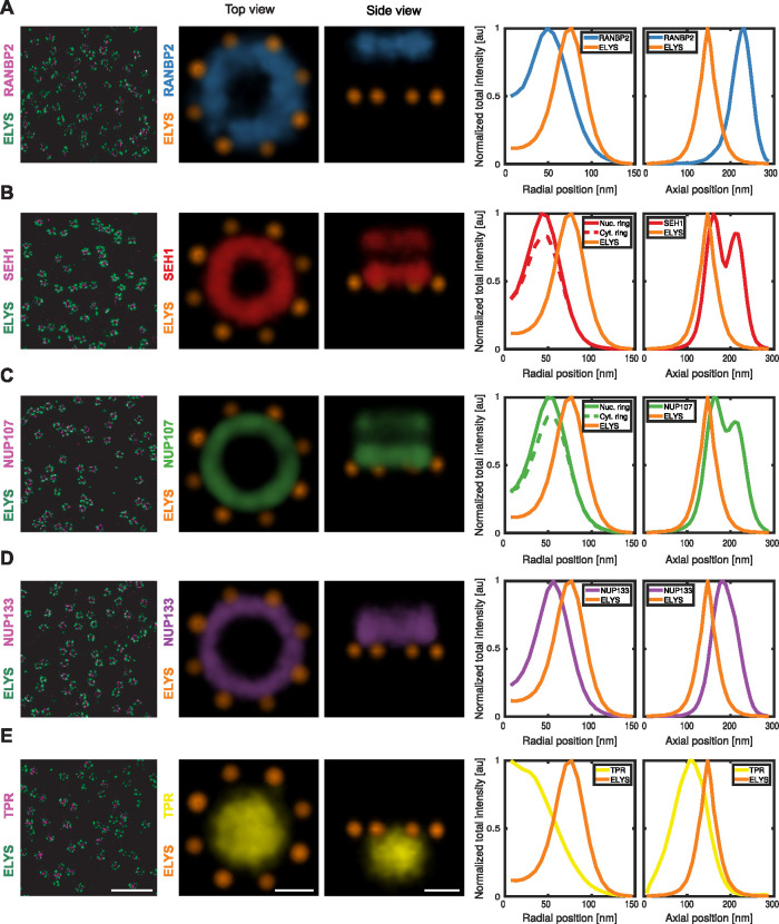 FIGURE 2: