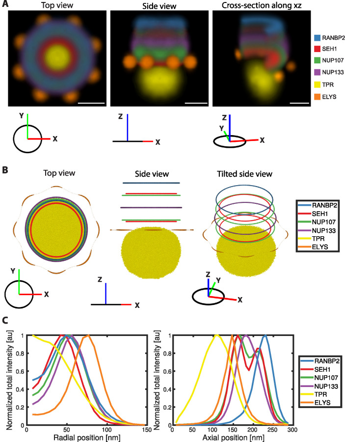 FIGURE 3: