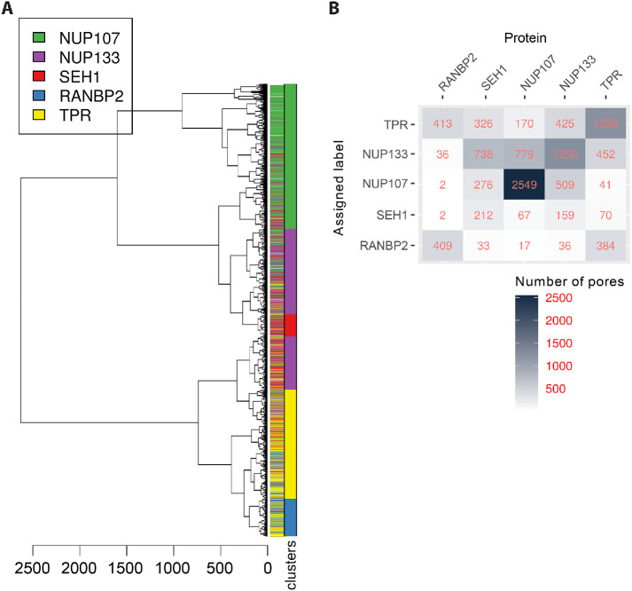 FIGURE 4: