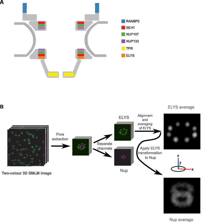 FIGURE 1: