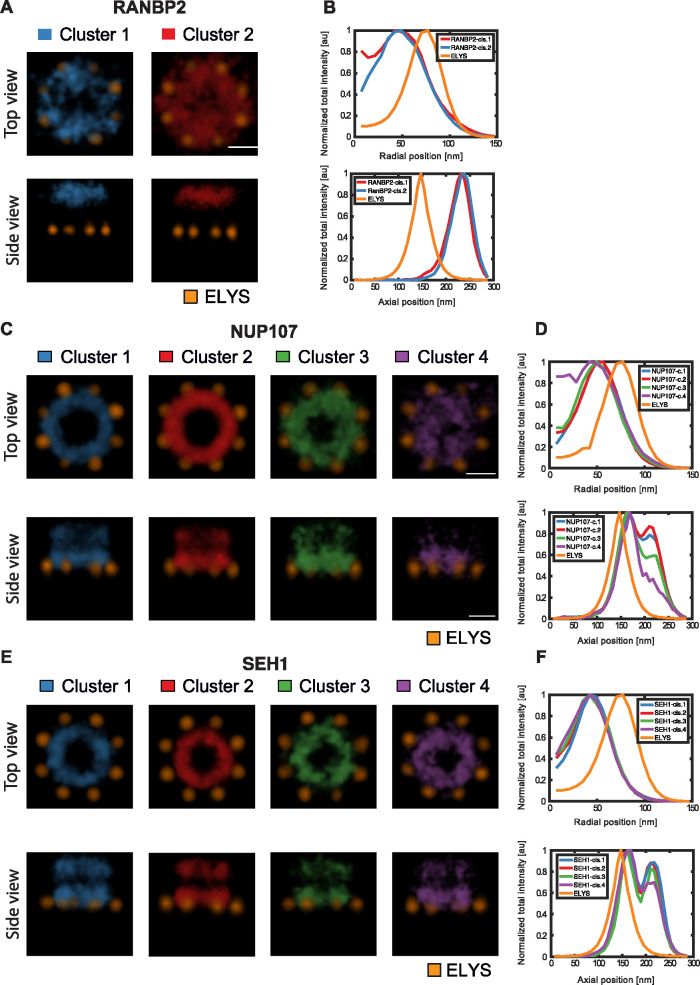 FIGURE 5: