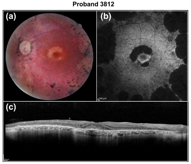 Fig. 4