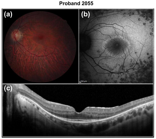 Fig. 6