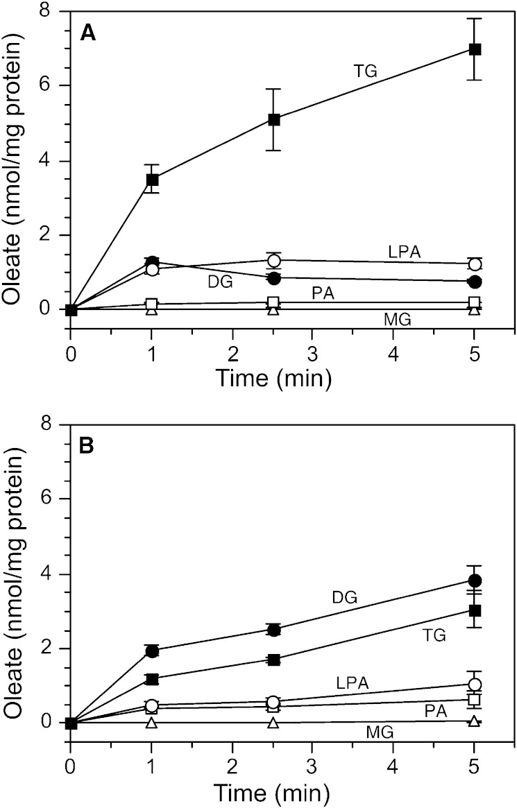 Fig. 4.