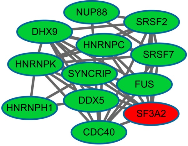 Figure 2