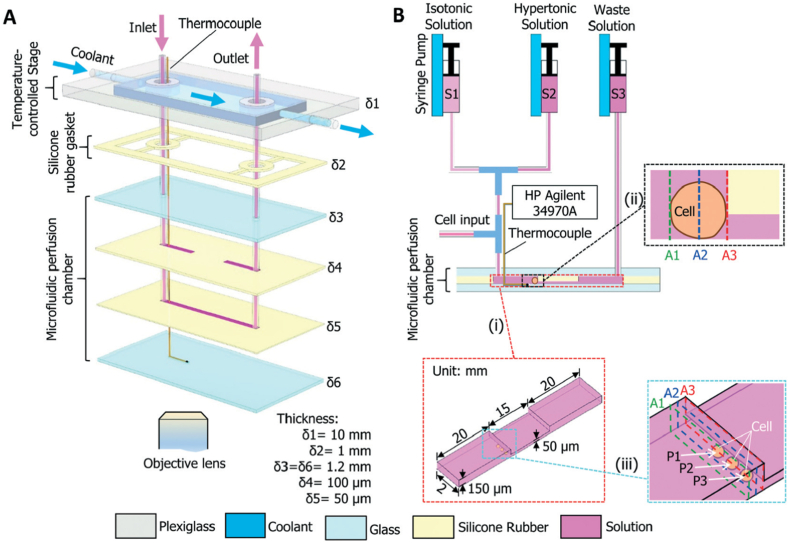 Fig. 12