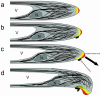 Figure 5.