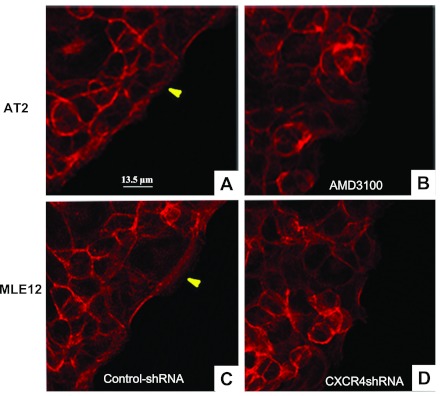 Fig. 10.