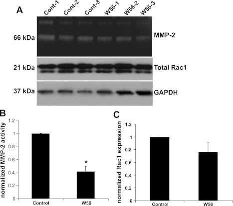 Fig. 9.