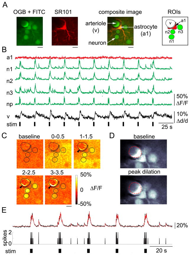 Fig. 4