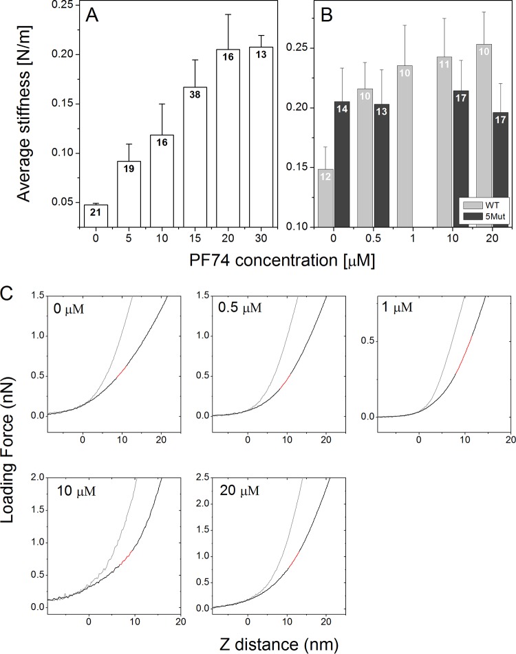 FIG 1