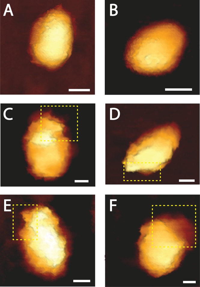 FIG 3