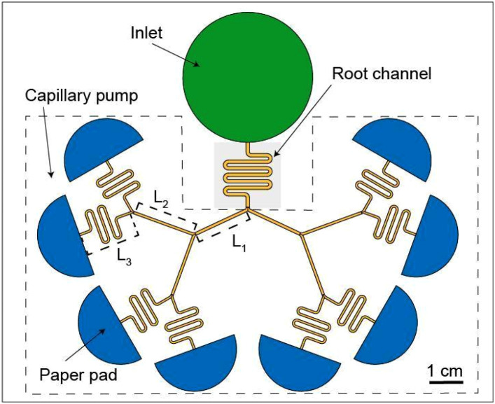 FIG. 1.