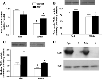 FIG. 7.