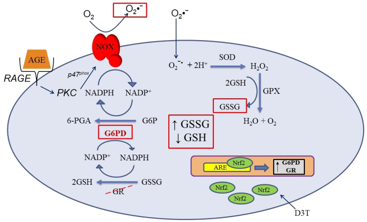 Fig. 6