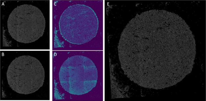 Fig. 10