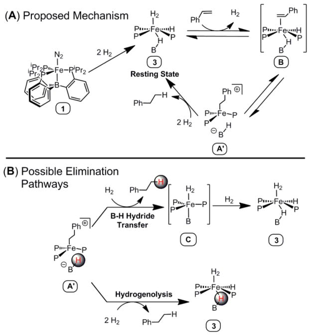 Scheme 7