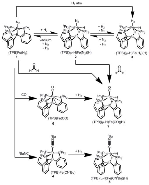 Scheme 2