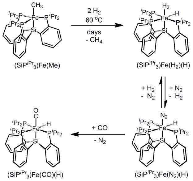 Scheme 3