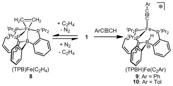 Scheme 4