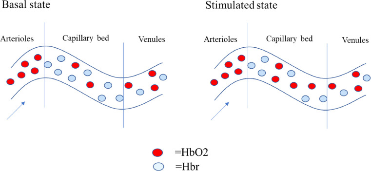 Fig. 21