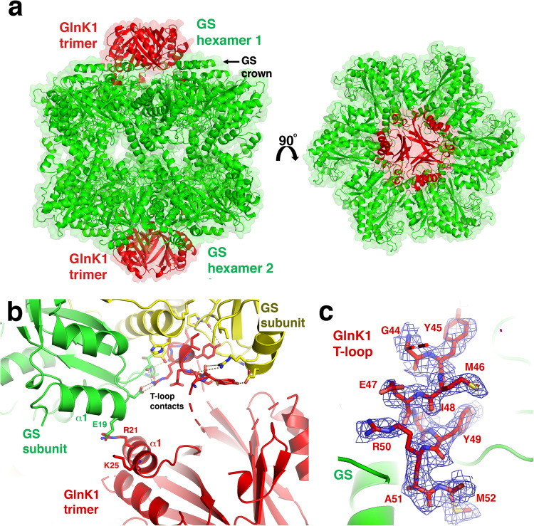 Fig. 5