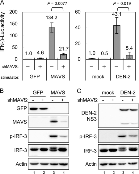 FIG. 7.