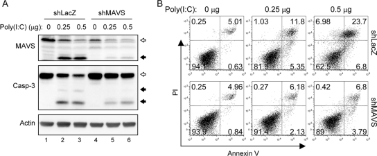 FIG. 10.