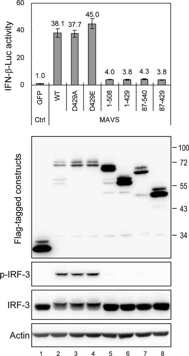 FIG. 3.