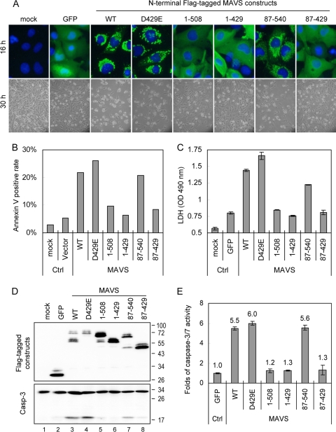 FIG. 4.