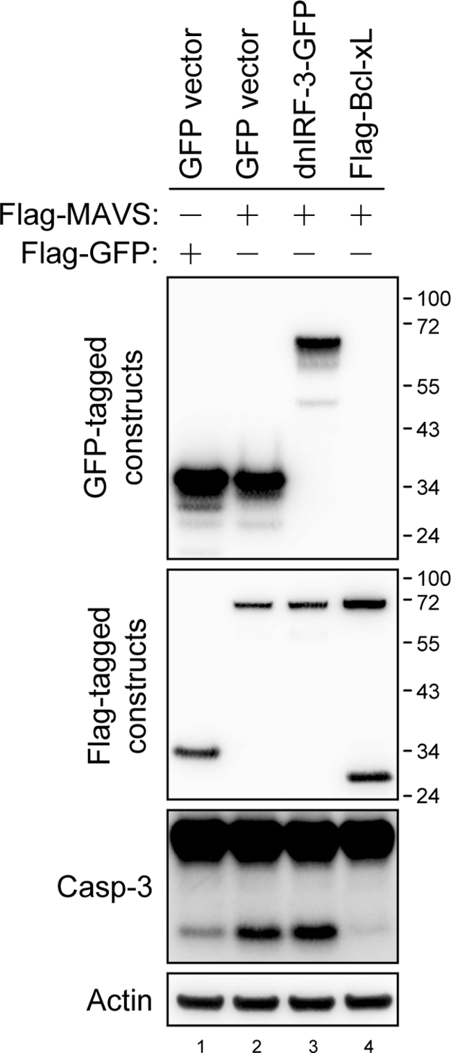 FIG. 6.