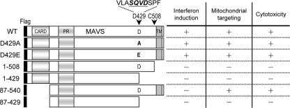 FIG. 2.