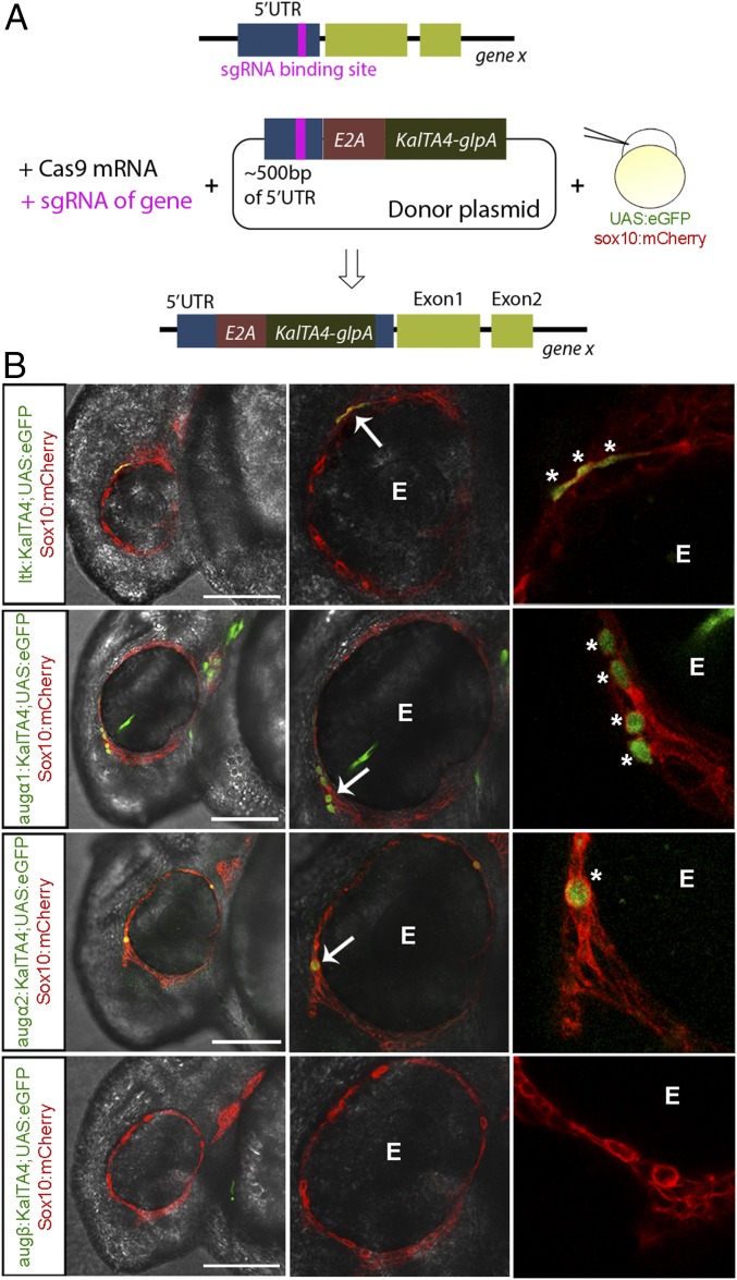 Fig. 3.